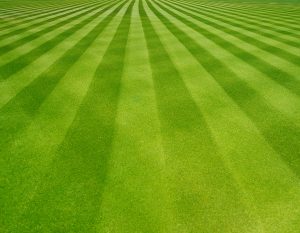 Mowtown Mowers